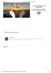 Behind the ruling: how ‘Sex Matters’ is shaping UK policy on trans rights