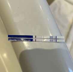 JUNE 2025 Trying To Conceive Thread