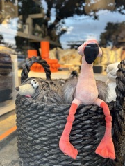 Come and tell us your dull and unexciting news 33: Calmly through the day