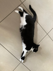 Thread 18 - TalkLair: "That's no moon. It's a space station!"