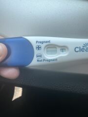 Clear blue weeks & Rapid