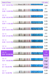 June 2025 TTC Support Thread