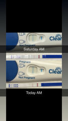 5 dpo implantation spotting?