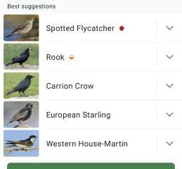 Merlin App Appreciation plus General Birding Chat