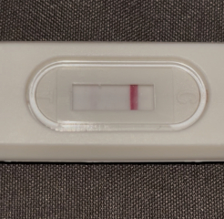 Does this look like a positive test?