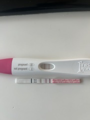 Due February 2026 ✨