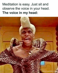 This made me howl laughing.  Anyone else heard a funny joke or seen a funny meme?