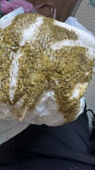 Normal nappy? trigger warning poo pic in message*