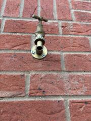 Any gardeners that can help please?