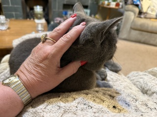 Need a hand hold please