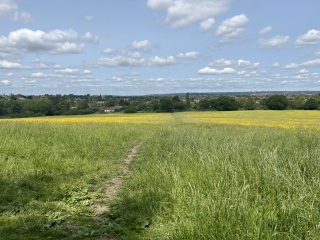 What do you LOVE to do in London?