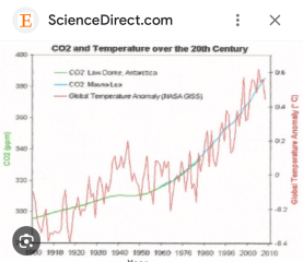 AIBU not to buy in about all of this net zero/environmentalism?