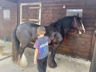 To think horse riding is too dangerous?