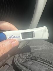 Clear blue weeks & Rapid