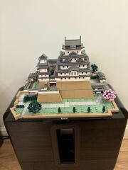 To show me your Lego collection?