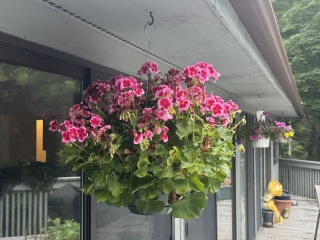 Come and tell us your dull and unexciting news 34: Calmly through the day