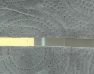 June/July TTC Thread❤️