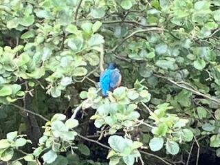 The Bluestocking Women’s Pub - Where Everybody Knows Your Username