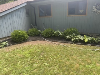 Come and tell us your dull and unexciting news 33: Calmly through the day