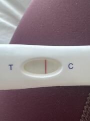 5days post 5 day transfer
