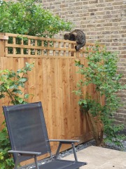 To be annoyed at my neighbours for this?