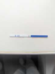 4/5 DPO anyone else?