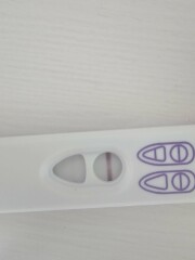Due January 2026 ✨
