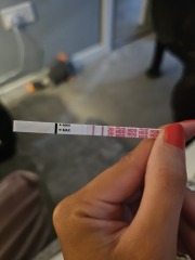 Test lighter at 8 weeks