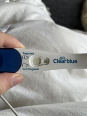Potentially pregnant -line eyes help