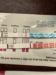 Tww June 2025🩷🩵