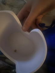 Who wants to see what came from my ear?