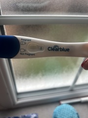 11DPO Test