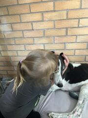URGENT - DOG ATTACKED PARTNER **Please read OP's latest updates**  [edited by MNHQ]