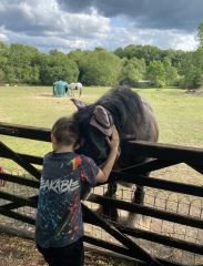 To think horse riding is too dangerous?