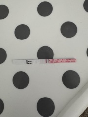 3dpo - anyone else?