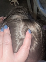 Id this nits?