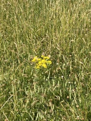 The One after the One where the Excellent Cats posed for a calendar