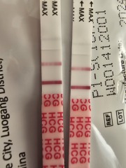 Test lighter at 8 weeks