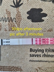10dpo Please, what do you think?