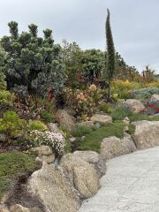 Minack Open Air Theatre - catering