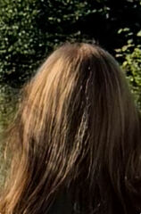 Box dye grey cover bronze nightmare