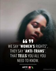 Why is anti-trans so important?