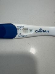 Due February 2026 ✨