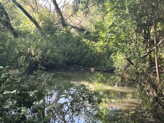 What do you LOVE to do in London?