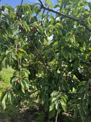 Come and tell us your dull and unexciting news 34: Calmly through the day