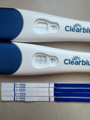 Due February 2026 ✨