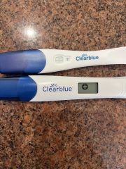 Due February 2026 ✨