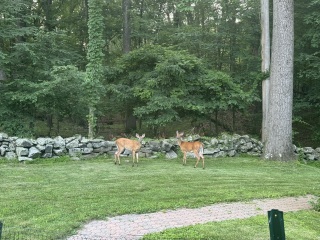 Come and tell us your dull and unexciting news 33: Calmly through the day