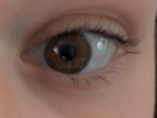 Lash Lift after 2 weeks