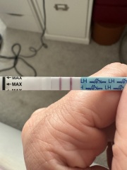 June/July TTC Thread❤️